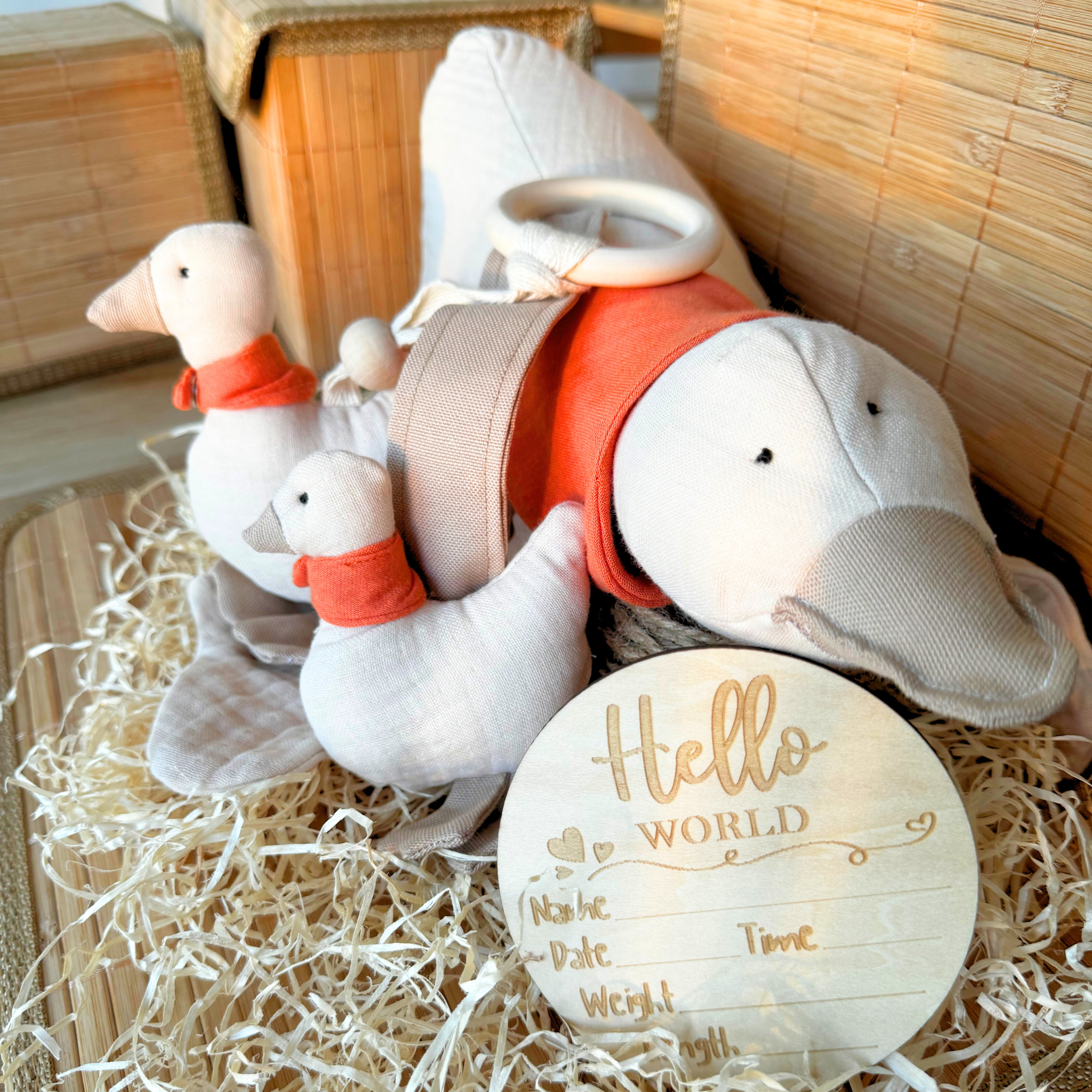 Lilly die Kuschelente – Erstelle dein individuelles Set