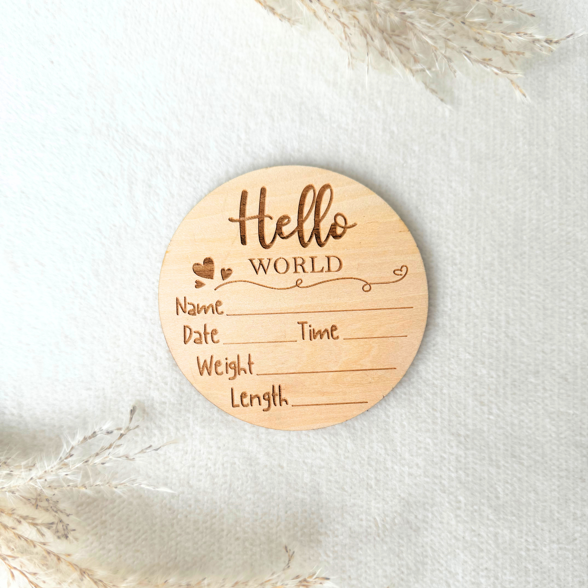 "Hello World" Holzschild